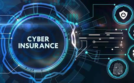 Individual Cyber Insurance: Protecting Yourself from Online Risks 