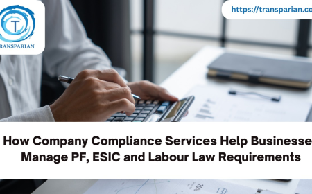 How Company Compliance Services Help Businesses Manage PF, ESIC and Labour Law Requirements