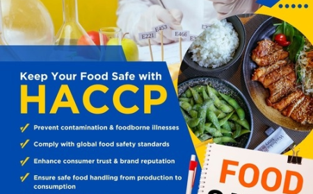HACCP Certification in Egypt