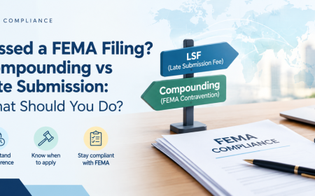 LSF vs FEMA Compounding: What Should You Do? | Chhota CFO