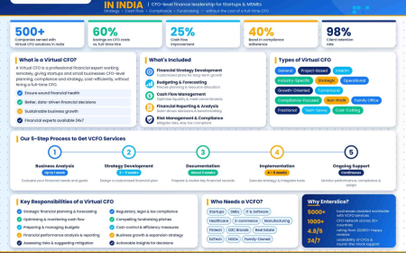 Virtual CFO Services in India: A Smarter Approach to Financial Management