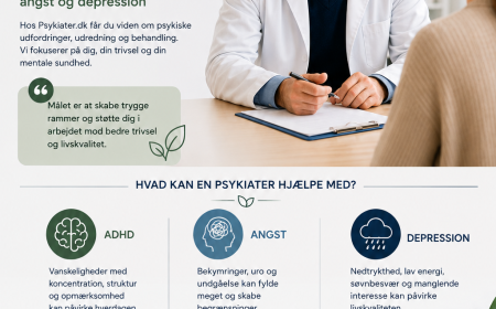 ADHD – Symptomer, Årsager, Udredning og Behandling