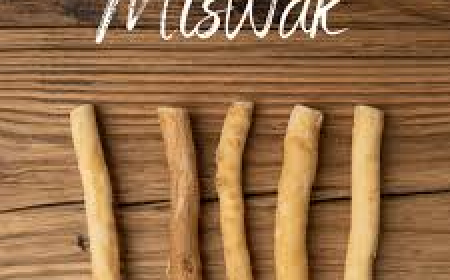 The Ultimate Guide to the Miswak Stick UK