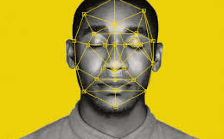 Can Facial Similarity Help Identify Family Resemblance?