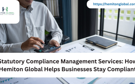 Statutory Compliance Management Services: How Hemiton Global Helps Businesses Stay Compliant