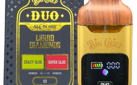 What Is the Difference Between the Big Chief V2 and Traditional Disposable Vapes?