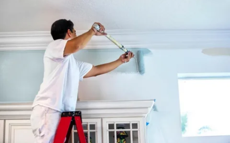 How Interior Painting in Boca Raton, FL Can Transform Your Home
