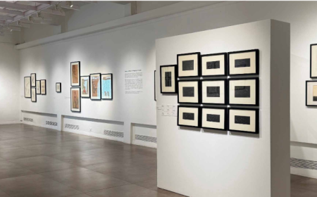 Delhi Art Gallery