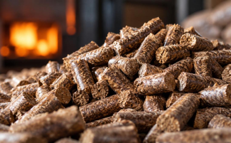How Biomass Briquettes Can Support More Sustainable Manufacturing