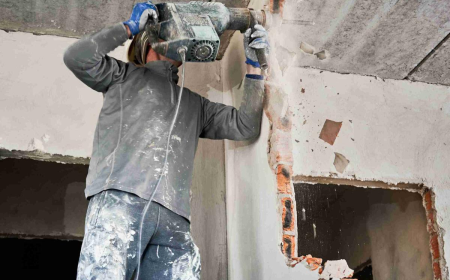 What Homeowners Should Know About Mold Demolition and Removal Services in Shippensburg, PA