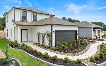 How Outdoor Living Design and Build Services Create Functional Backyard Spaces
