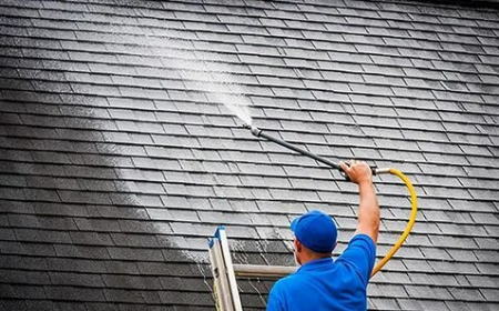 Remove Roof Stains and Algae with Professional Cleaning Services
