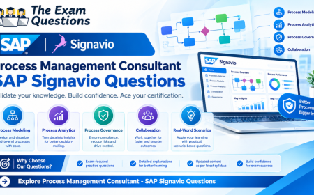 Process Management Consultant - SAP Signavio Questions: A Career-Focused Certification Preparation Guide
