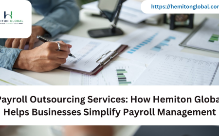 Payroll Outsourcing Services: How Hemiton Global Helps Businesses Simplify Payroll Management