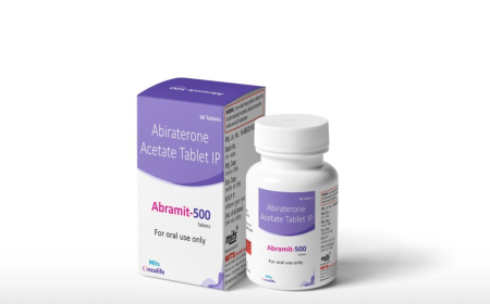 Why Should You Choose Mits Oncolife for Abiraterone 500 mg Contract Manufacturing?