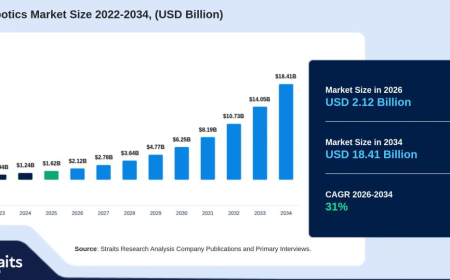 Soft Robotics Market Projected to Register a 31% CAGR Through 2034