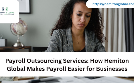 Payroll Outsourcing Services: How Hemiton Global Makes Payroll Easier for Businesses