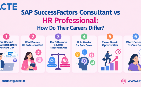 From HR Operations to SAP SuccessFactors Consulting: How Do Career Paths Differ?