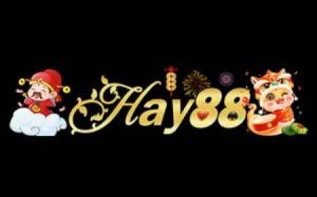 HAY88 – Nhà Cái HAY88 Uy Tín, Sảnh Game Đa Dạng