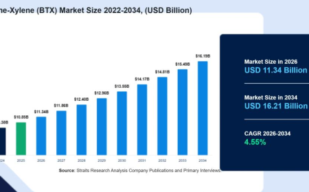 Benzene-Toluene-Xylene (BTX) Market Approaches USD 16.19 Billion as Industrial Applications Expand