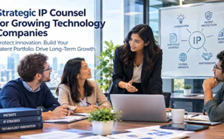 Startup Patent Attorney: Build Long-Term IP Strategy | EVLG