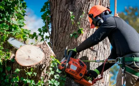 Tree Services in Bedford, KY: A Practical Guide to Safe Tree Care and Removal