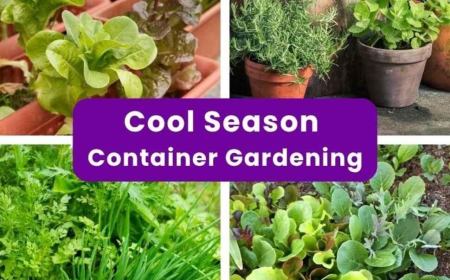 Fall Container Gardening: Veggies, Herbs & Native Plants