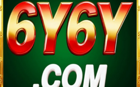 6y6y