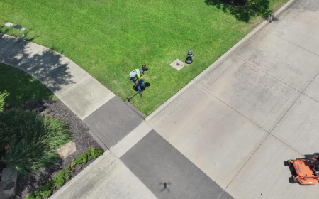 Make Your Commercial Property Stand Out With Better Landscaping in Arlington TX