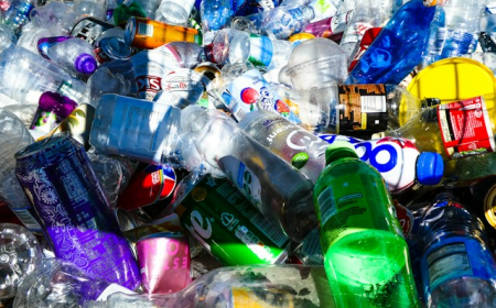 Vietnam Plastic Recycling: Recycled Materials Reshape Manufacturing