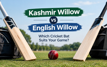 Kashmir Willow vs English Willow: Which Cricket Bat Suits Your Game?