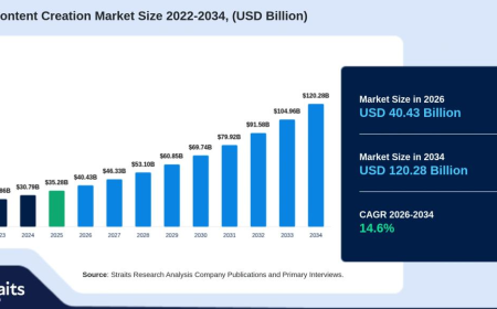 Digital Content Creation Market Set to Cross USD 120.28 Billion by 2034