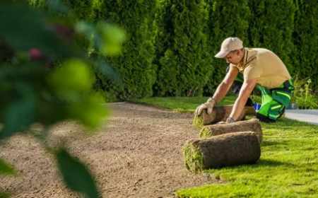 Soil Landscaping Services in Woodstock, GA: A Complete Guide to Healthier Soil and Better Landscapes
