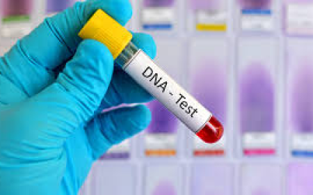 How Long Can DNA Remain in the Female Body After Intimacy?