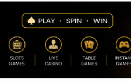 Playinexch247 VIP and the Account Benefits Users May Encounter