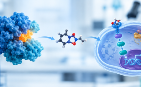 Target Validation and Mechanism of Action in Early Research 