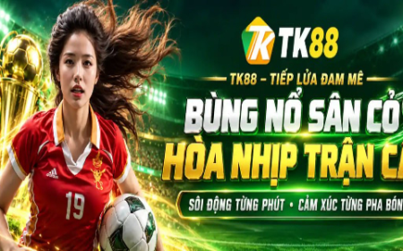 TK88 – Nhà Cái Trực Tuyến Uy Tín, Ưu Đãi Thành Viên Hấp Dẫn
