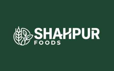 Shahpur Foods: Trusted Himalayan Salt Suppliers and Manufacturers in Pakistan