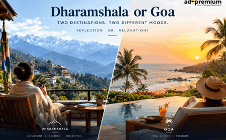 Dharamshala Vs Goa Villa Mountain Coast Retreat Guide