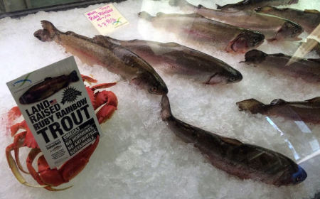 Catanese Classic Seafood: Understanding Specialty Seafood Products