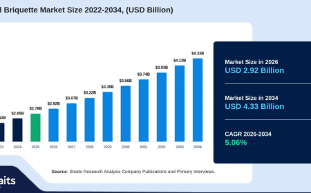 Charcoal Briquette Market Gains Ground Across Cooking, Grilling, and Heating Applications