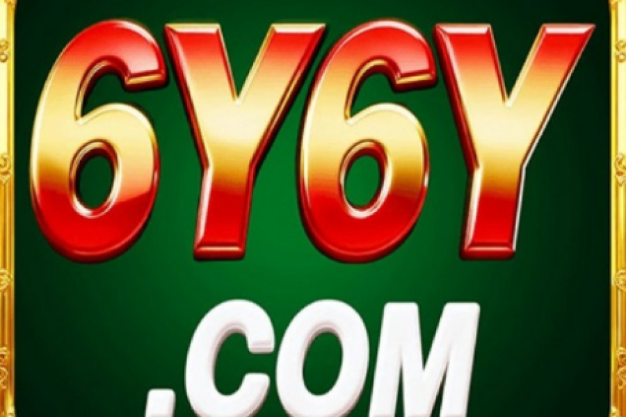 6y6y