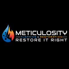 MeticulosityRestoration