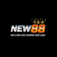new88813