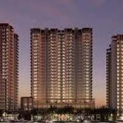 renoxgroup