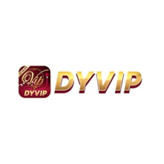dyvipnetbr