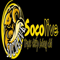 Socolivetructiep