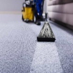 pomonacarpetcleaning