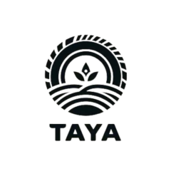 tayareifenentsorgung