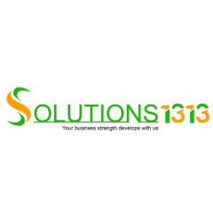 solutionss1313